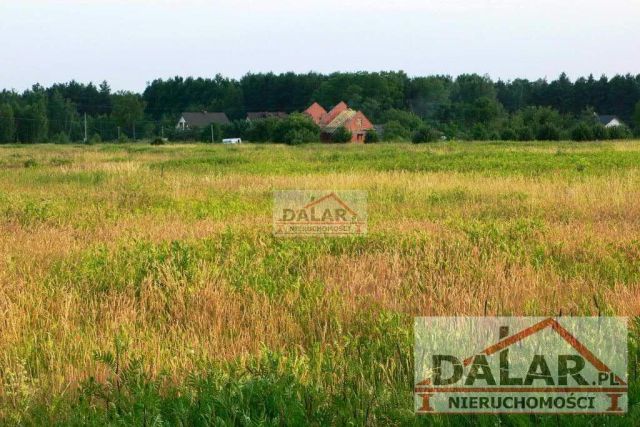 Działka budowlana Kąty, ul. Puławska. Zdjęcie 1