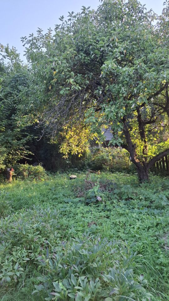 Działka rod Szczecin Bezrzecze, ul. Waleriana Łukasińskiego. Zdjęcie 4