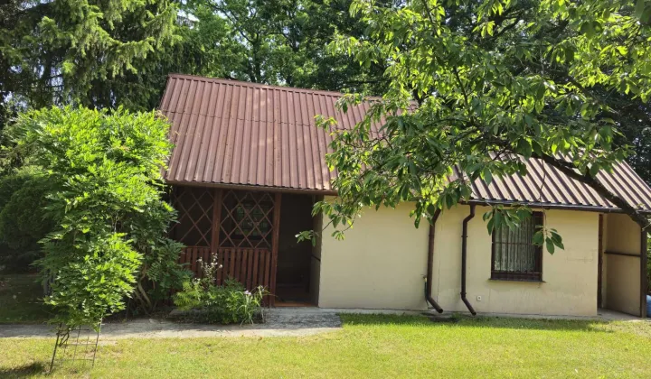 Działka rod Żyrardów, ul. Piastowska