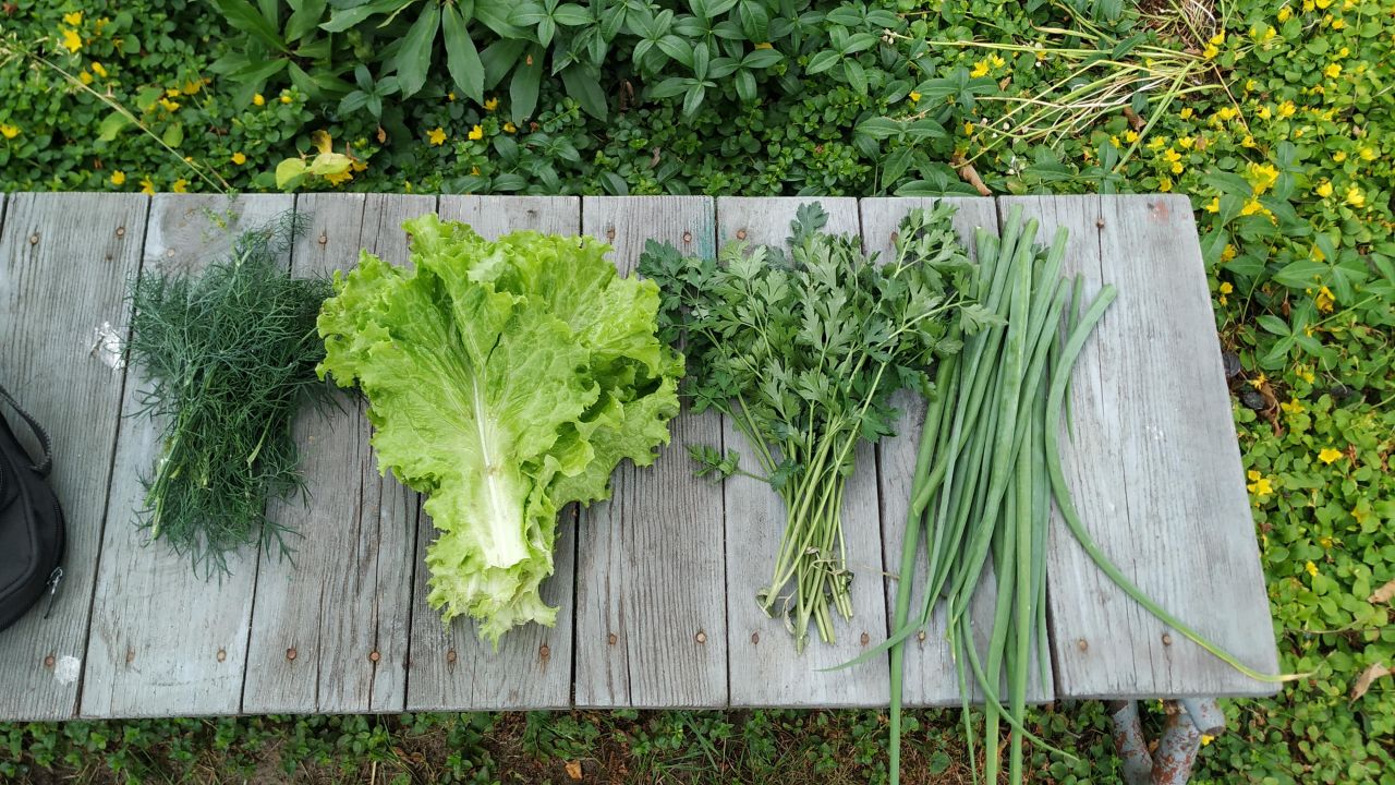 Działka rod Piła Gładyszewo, ul. Polna. Zdjęcie 12