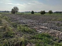 Działka budowlana Krasienin. Zdjęcie 3