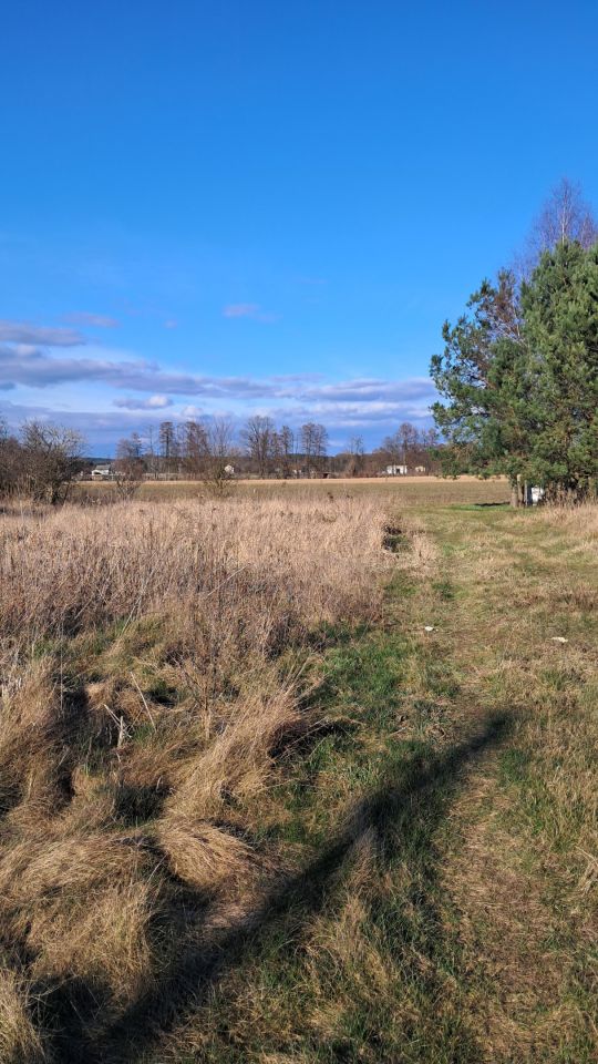 Działka budowlana Zławieś Mała, ul. Kasztanowa. Zdjęcie 5