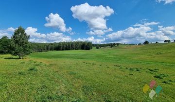 Działka siedliskowa Bartołty Wielkie