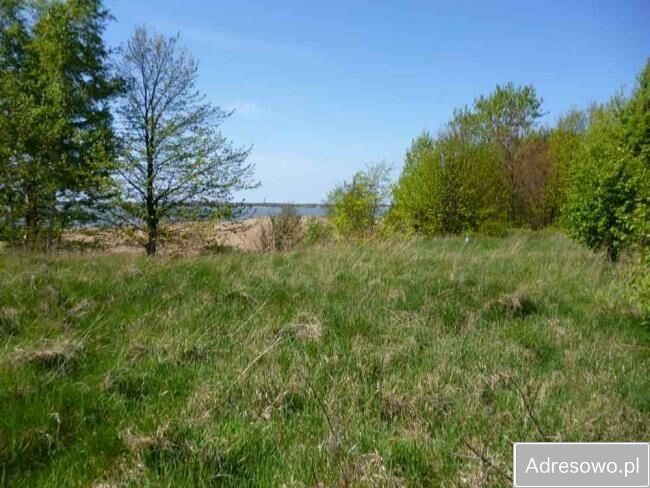 Działka budowlana Osieki. Zdjęcie 4