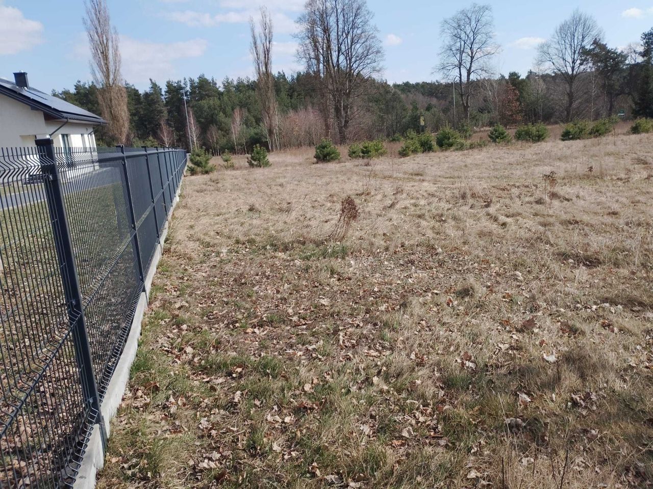 Działka budowlana Ryki, ul. Królewska. Zdjęcie 4