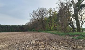 Działka budowlana Rojewo, Jezuicka Struga