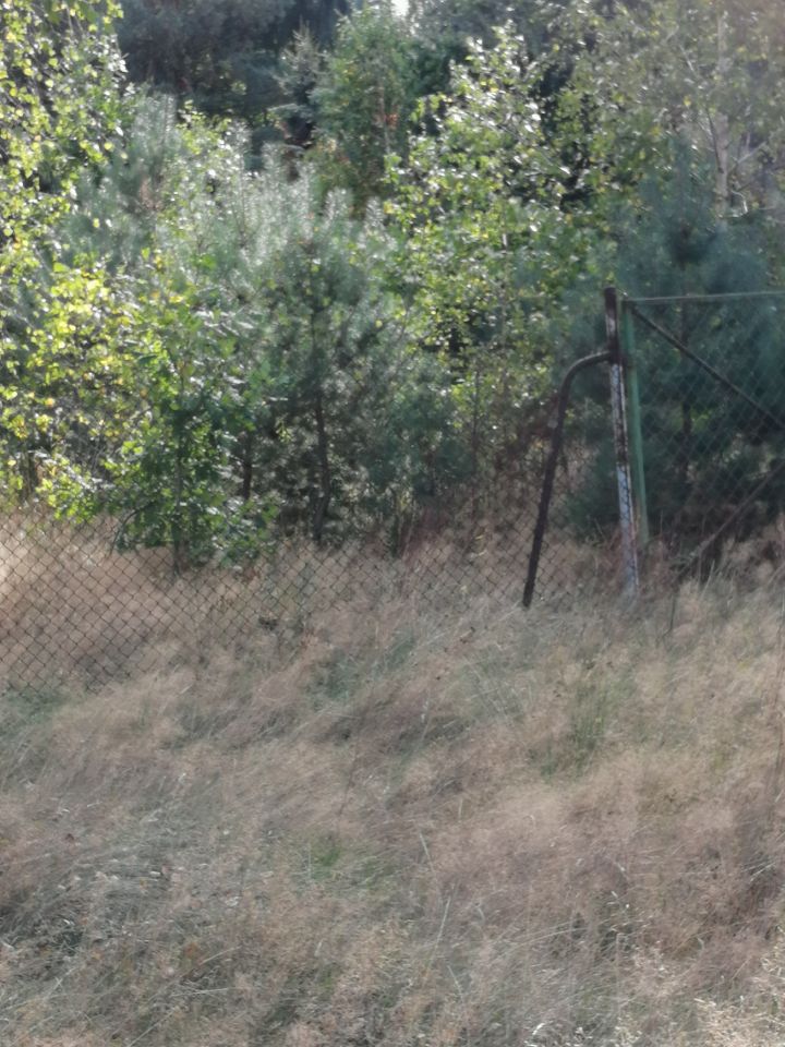 Działka rekreacyjna Radachówka. Zdjęcie 3