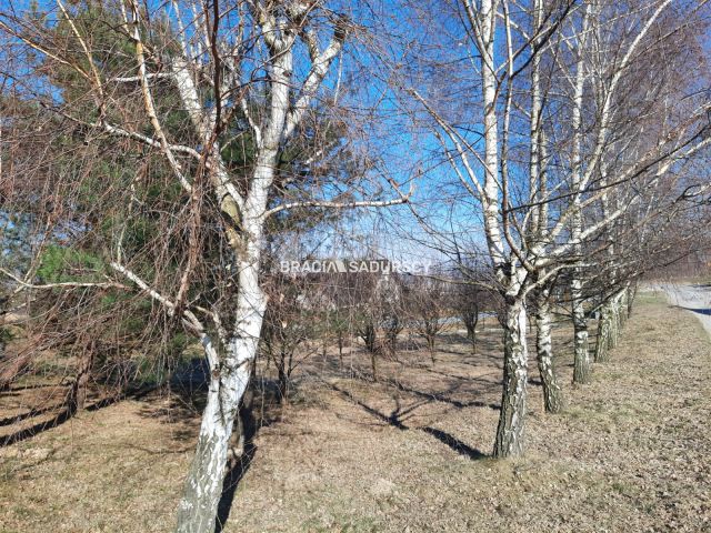 Działka budowlana Żerkowice. Zdjęcie 1