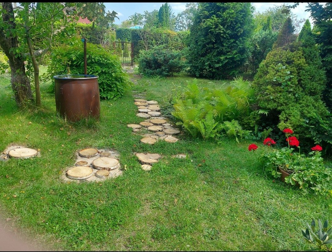 Działka rod Wejherowo Nanice, ul. mjr. Henryka Sucharskiego. Zdjęcie 8