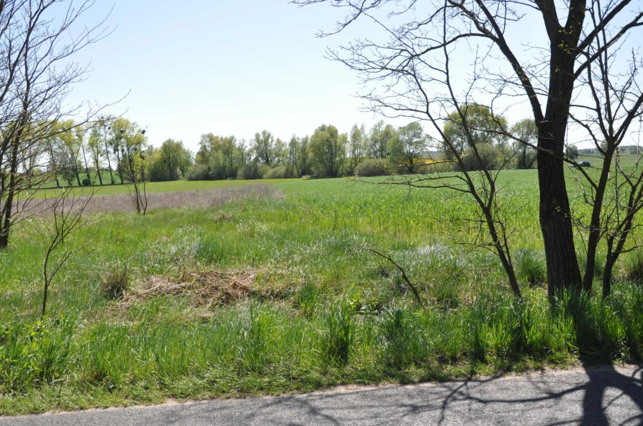 Działka rolna Jabłowo Pałuckie. Zdjęcie 3