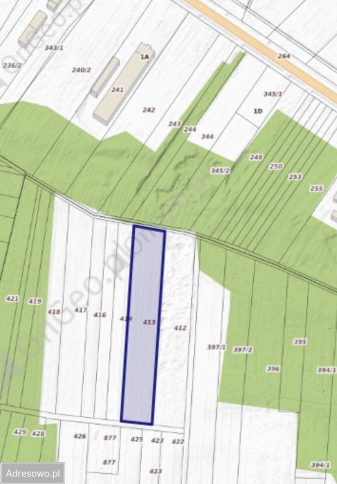 Działka rolna Zbuczyn. Zdjęcie 4