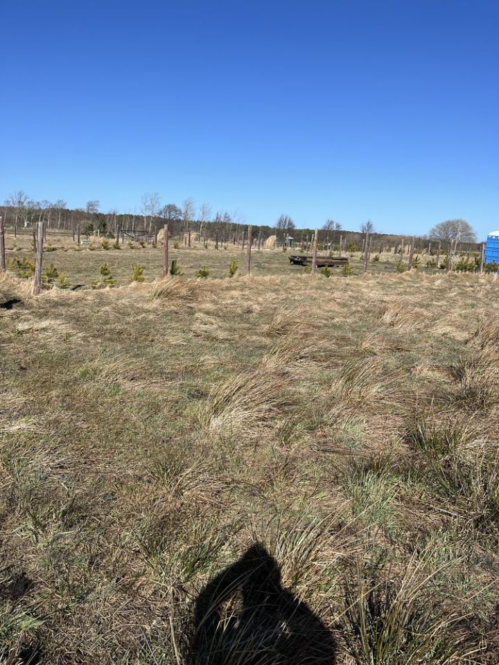 Działka rolna Karwieńskie Błoto Drugie. Zdjęcie 2