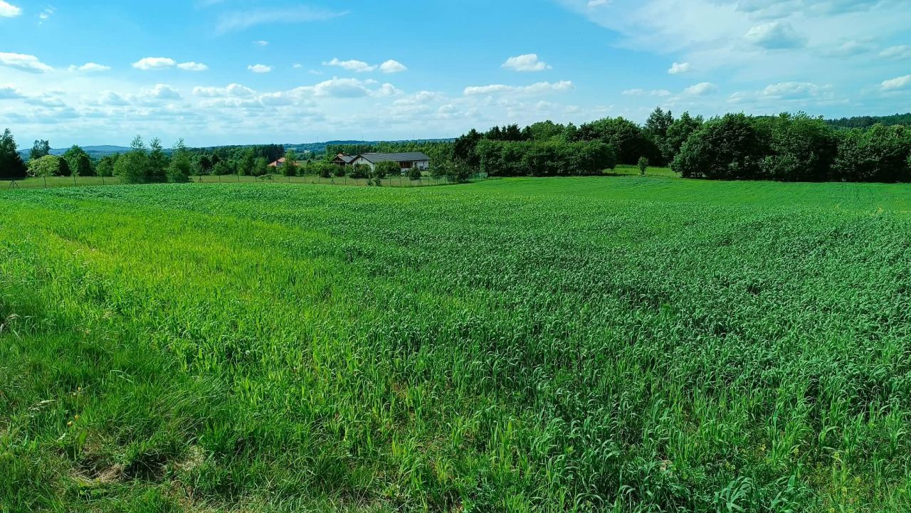Działka rolna Stara Huta, ul. Szmaragdowa. Zdjęcie 5