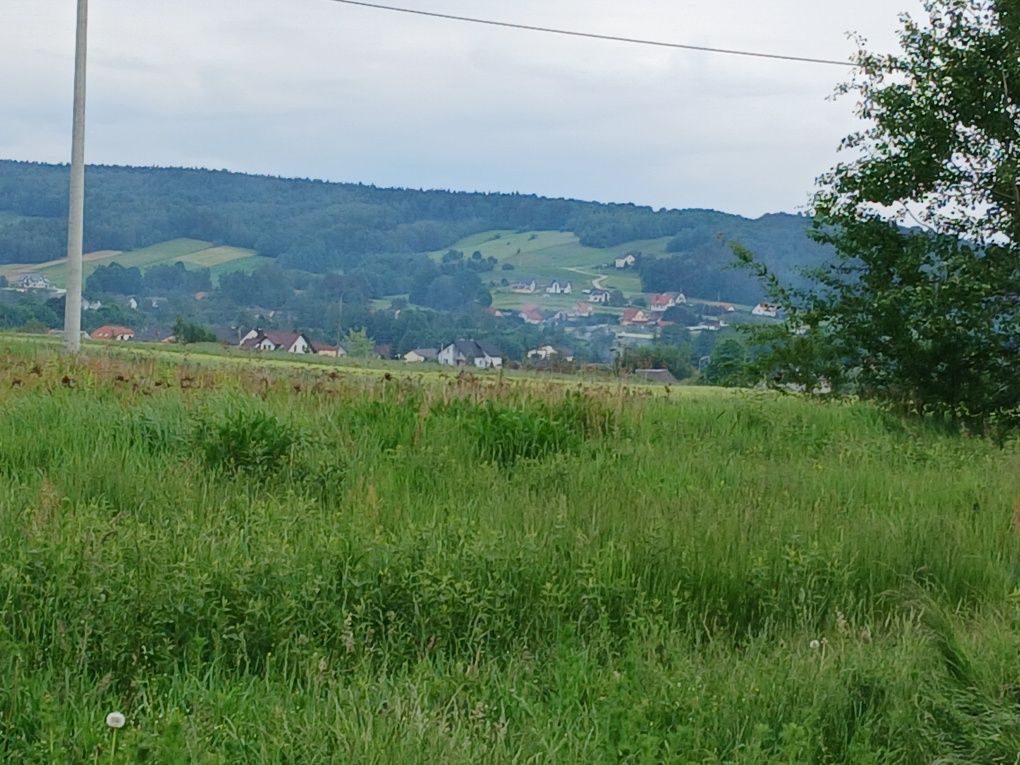 Działka budowlana Bieliny. Zdjęcie 1