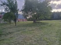 Działka siedliskowa Żalno. Zdjęcie 3