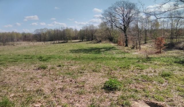 Działka budowlana Linówko. Zdjęcie 1