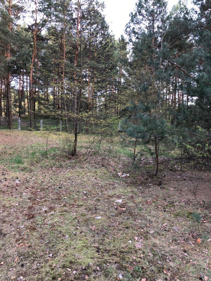 Działka inwestycyjna Majdan Sopocki Drugi. Zdjęcie 3