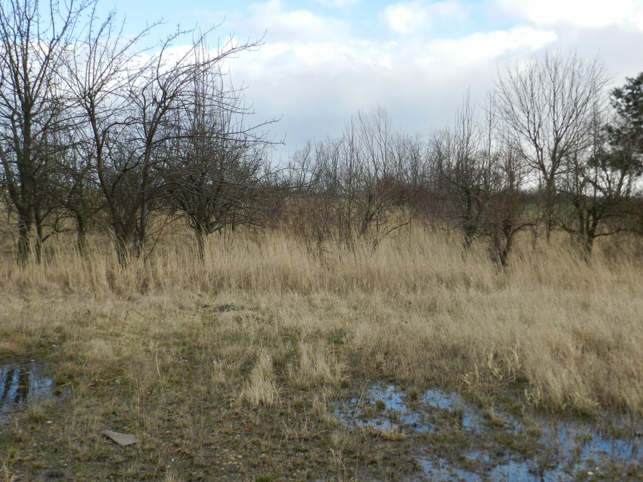 Działka rolna Piersko, ul. Przelotowa. Zdjęcie 7