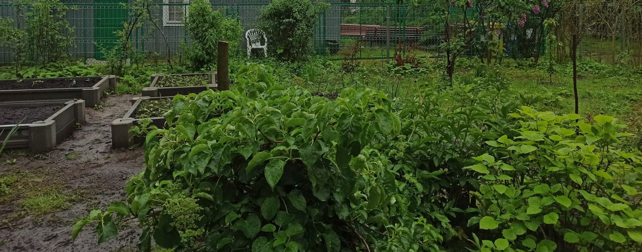 Działka rod Kraków Grzegórzki, ul. Rakowicka. Zdjęcie 4