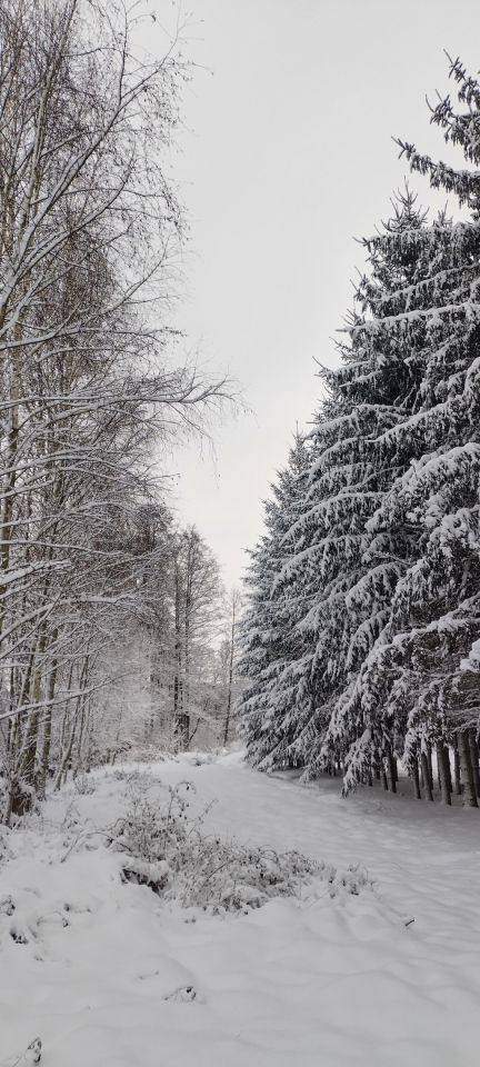 dom wolnostojący, 5 pokoi Barycz Stara. Zdjęcie 9