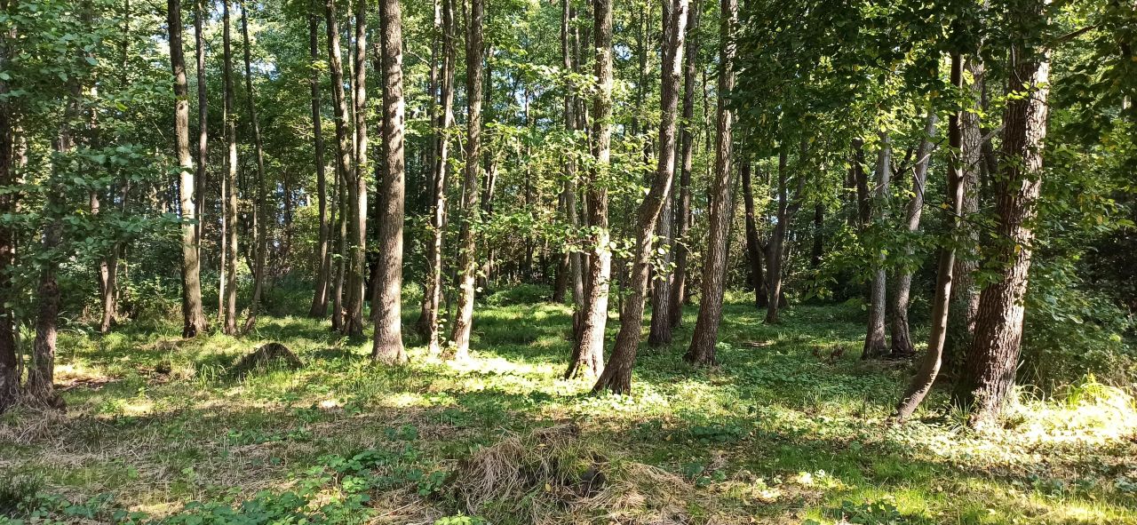 Działka budowlana Chylice, ul. Alpejska. Zdjęcie 11