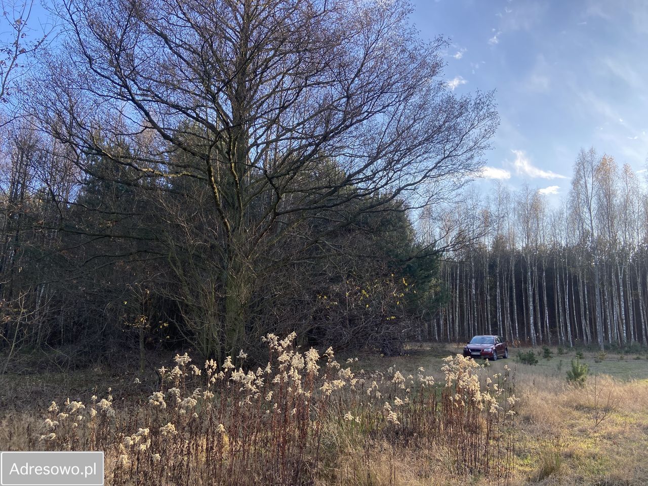 Działka rolno-budowlana Olszynki. Zdjęcie 3