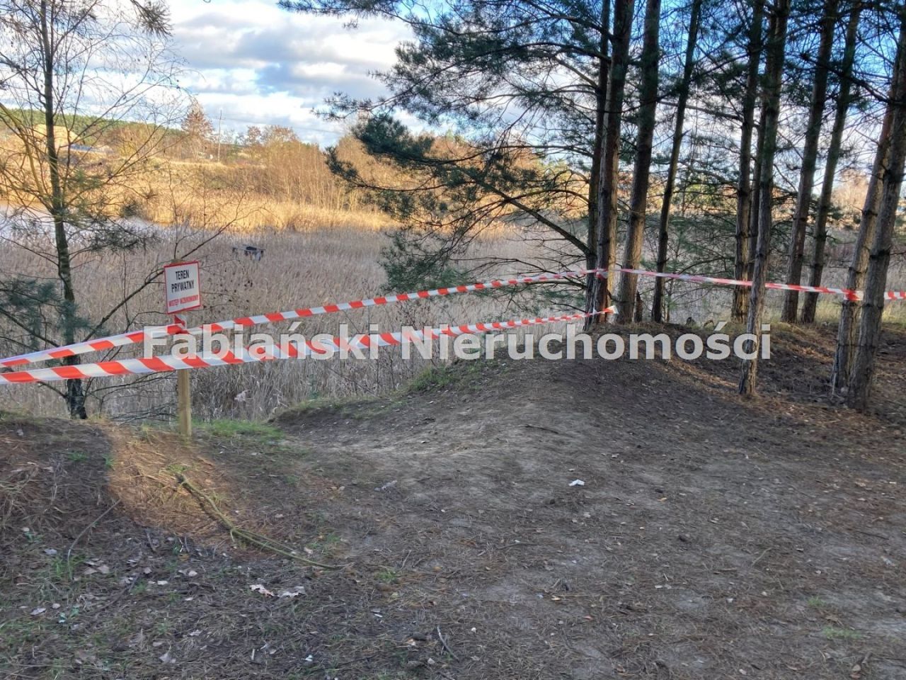 Działka inwestycyjna Bolechowo. Zdjęcie 6