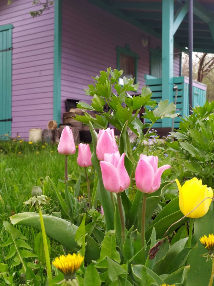 Działka rod Olsztyn, ul. Ignacego Krasickiego. Zdjęcie 6