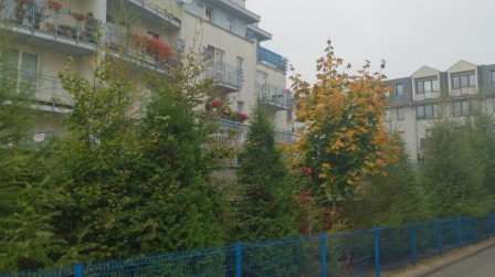 Mieszkanie 2-pokojowe Piaseczno Centrum, ul. Pawia 2
