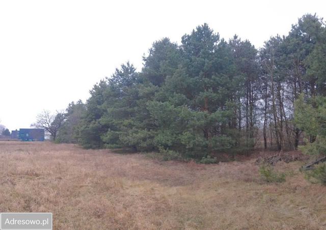 Działka budowlana Antoninów, ul. Radomska. Zdjęcie 1