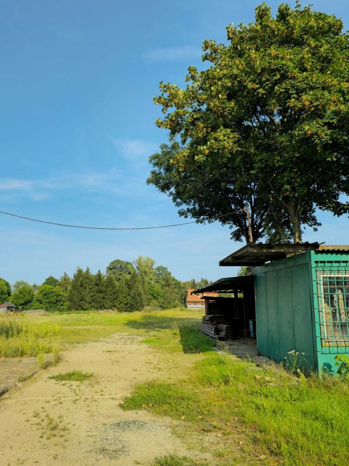 Nieruchomość komercyjna Pszenno. Zdjęcie 3