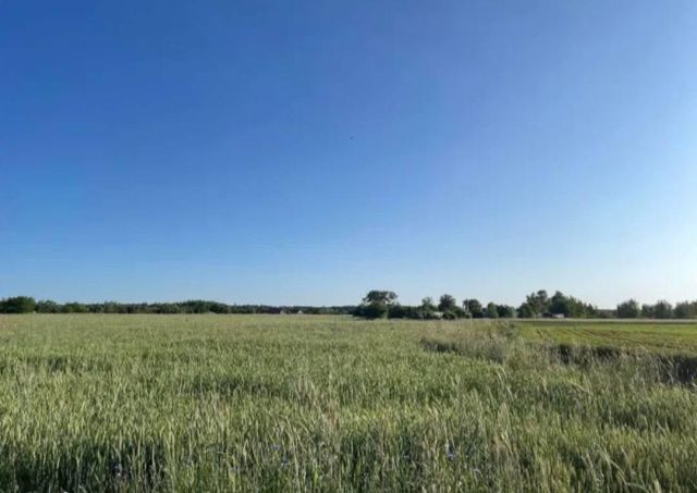 Działka inwestycyjna Prusice, ul. Polna. Zdjęcie 4