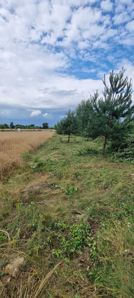 Działka budowlana Lesiów. Zdjęcie 5