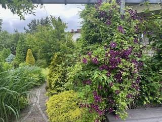 dom wolnostojący, 4 pokoje Bielsko-Biała Lipnik, Władysława Kiernika. Zdjęcie 37