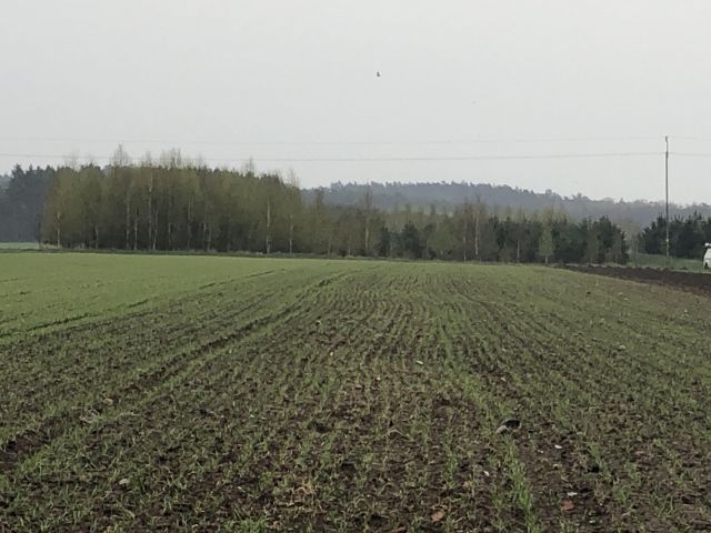 Działka rolna Chojnowo. Zdjęcie 1