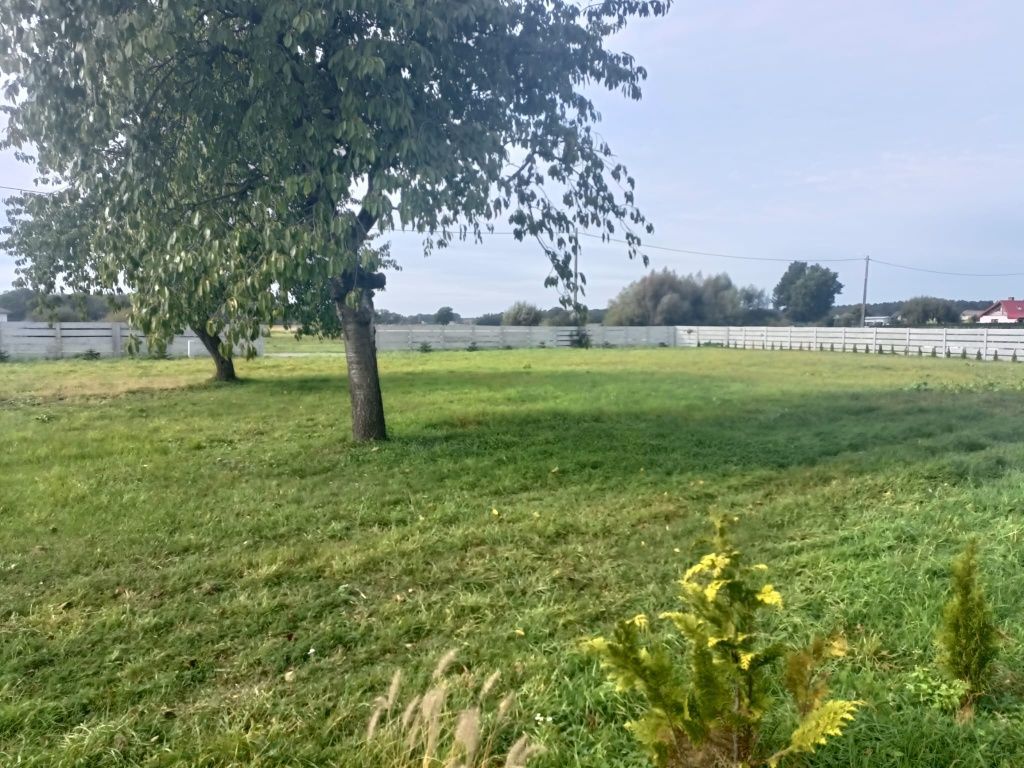 Działka rolno-budowlana Kliszkowice Małe. Zdjęcie 4