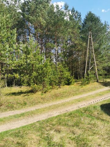 Działka rekreacyjna Okółek. Zdjęcie 1