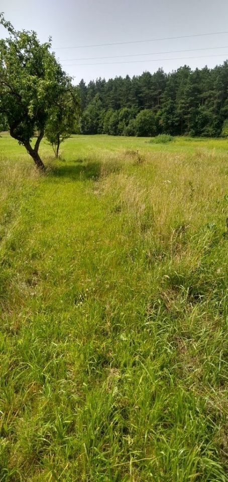 Działka budowlana Kostomłoty Drugie, ul. Gajowa. Zdjęcie 3