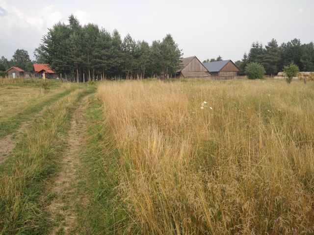 Działka rolna Stare Masiewo. Zdjęcie 1