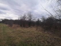 Działka rolno-budowlana Nadbrzeż. Zdjęcie 4