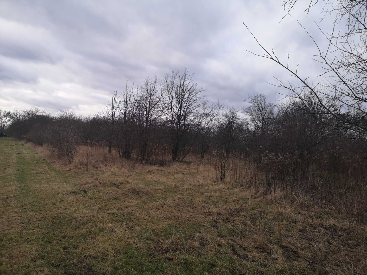 Działka rolno-budowlana Nadbrzeż. Zdjęcie 5