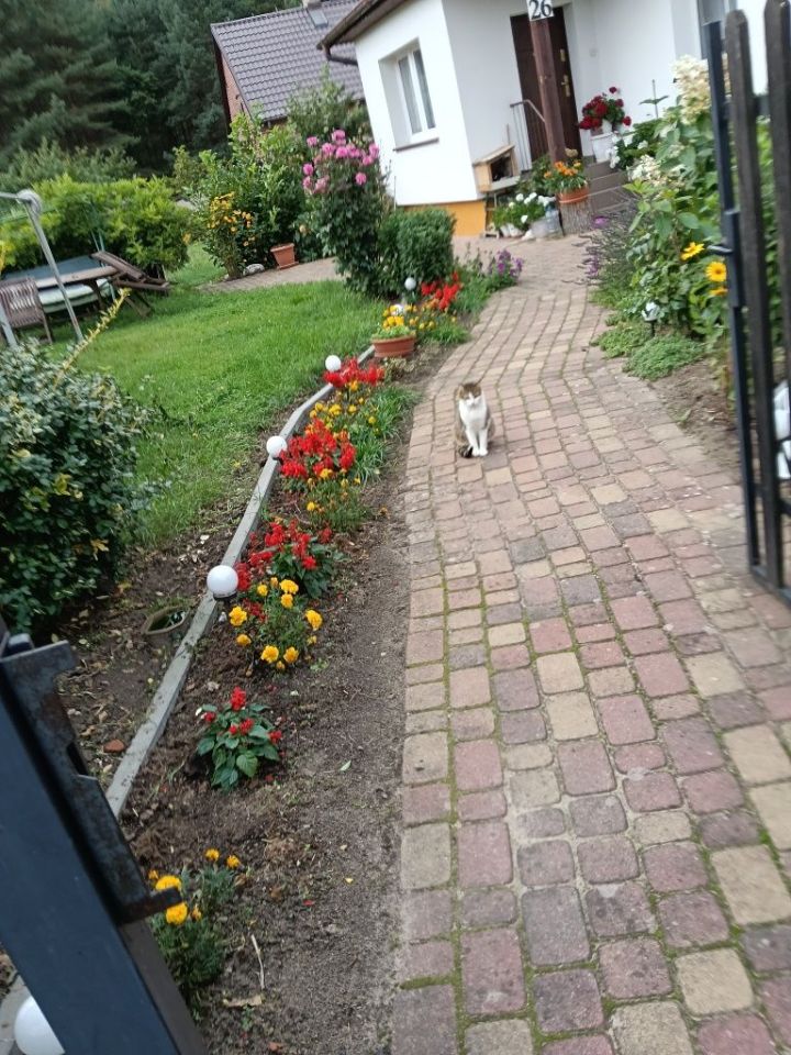 dom wolnostojący Bartków. Zdjęcie 8