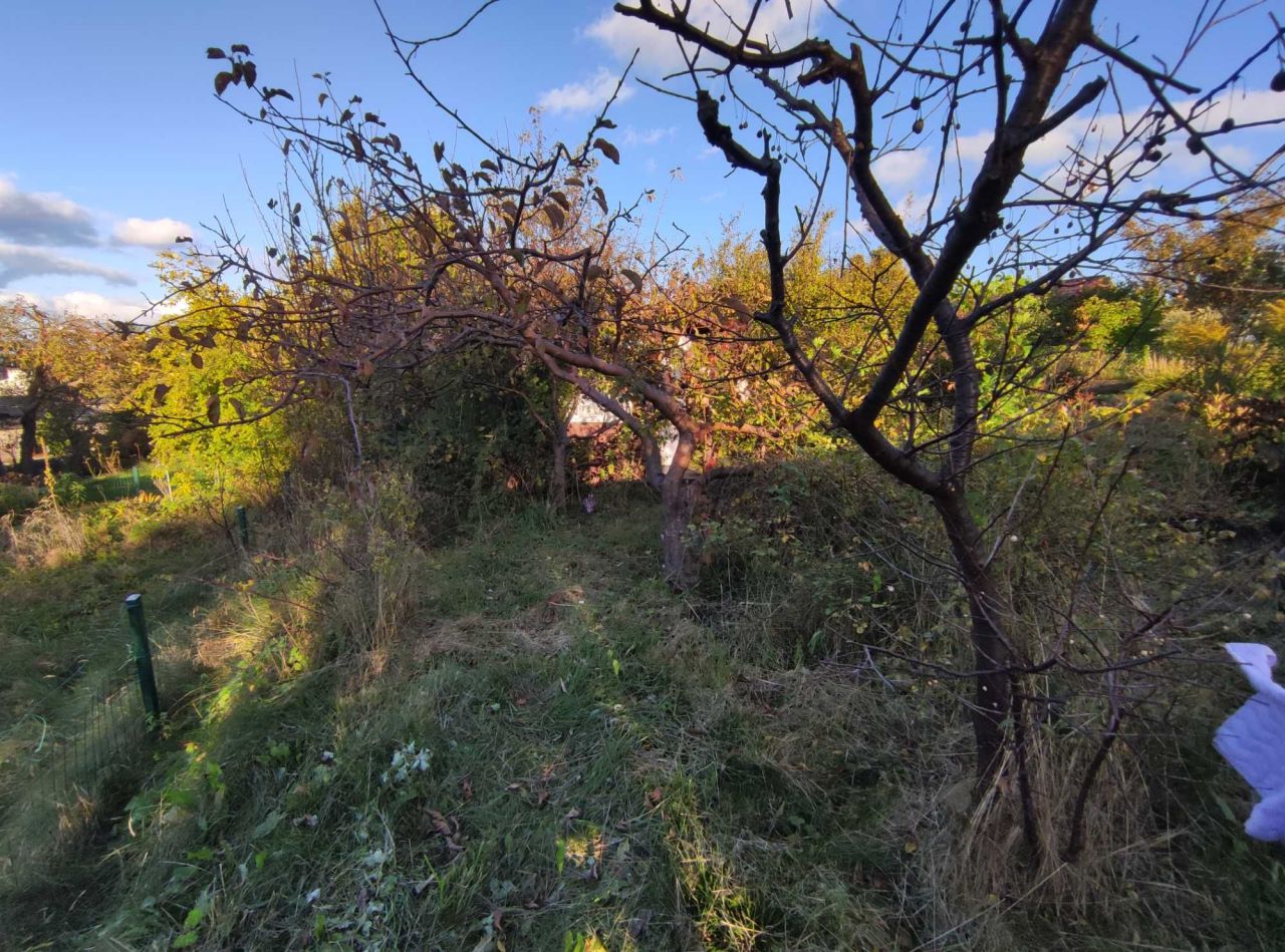 Działka rod Gdynia Mały Kack, ul. Spokojna. Zdjęcie 7