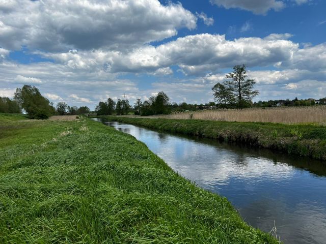 Działka rolna Kołczyn, Kołczyn. Zdjęcie 1