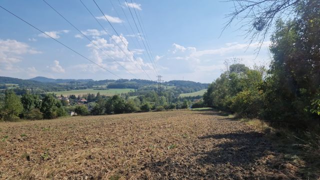 Działka rolno-budowlana Puńców, ul. Cieszyńska. Zdjęcie 1