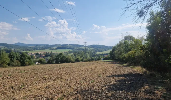 Działka rolno-budowlana Puńców, ul. Cieszyńska