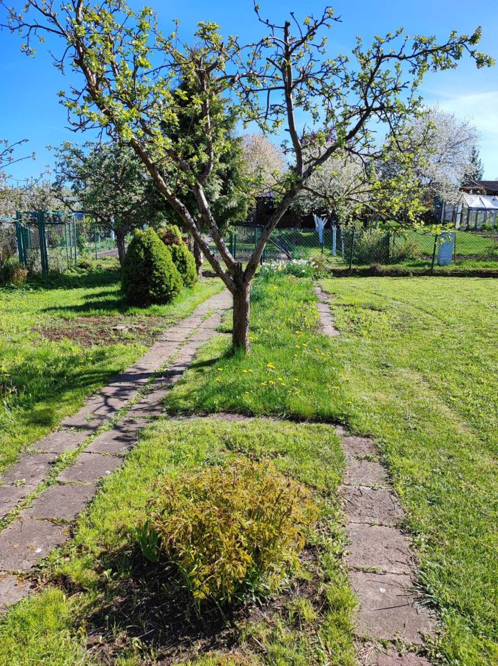 Działka rod Olecko. Zdjęcie 4