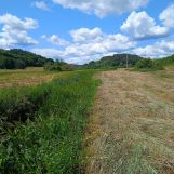 Działka rolna Radolin. Zdjęcie 2