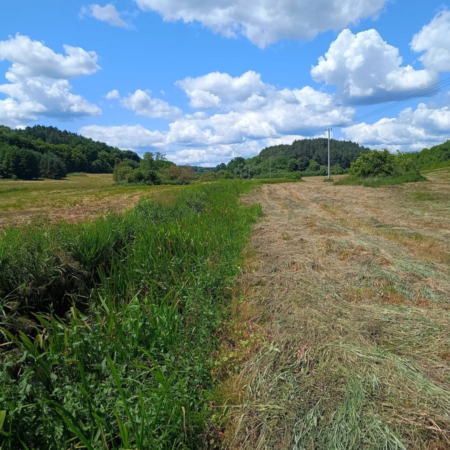 Działka rolna Radolin. Zdjęcie 3
