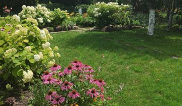 Działka rod Bełchatów, ul. Cegielniana